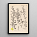 Herbier de la flore française Pl0111 - Louis Antoine Cusin — framed artwork on a wall
