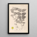 Herbier de la flore française Pl0117 - Louis Antoine Cusin — framed artwork on a wall