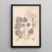 Herbier de la flore française Pl0120 - Louis Antoine Cusin — framed artwork on a wall