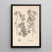 Herbier de la flore française Pl0122 - Louis Antoine Cusin — framed artwork on a wall