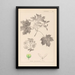 Herbier de la flore française Pl0123 - Louis Antoine Cusin — framed artwork on a wall