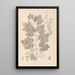 Herbier de la flore française Pl0124 - Louis Antoine Cusin — framed artwork on a wall