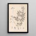Herbier de la flore française Pl0126 - Louis Antoine Cusin — framed artwork on a wall