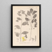 Herbier de la flore française Pl0127 - Louis Antoine Cusin — framed artwork on a wall