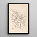 Herbier de la flore française Pl0138 - Louis Antoine Cusin — framed artwork on a wall