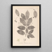 Herbier de la flore française Pl0142 - Louis Antoine Cusin — framed artwork on a wall