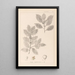 Herbier de la flore française Pl0144 - Louis Antoine Cusin — framed artwork on a wall