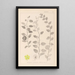 Herbier de la flore française Pl0146 - Louis Antoine Cusin — framed artwork on a wall