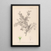 Herbier de la flore française Pl0148 - Louis Antoine Cusin — framed artwork on a wall