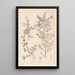 Herbier de la flore française Pl0149 - Louis Antoine Cusin — framed artwork on a wall