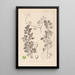 Herbier de la flore française Pl0154 - Louis Antoine Cusin — framed artwork on a wall