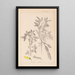 Herbier de la flore française Pl0163 - Louis Antoine Cusin — framed artwork on a wall