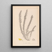 Herbier de la flore française Pl0166 - Louis Antoine Cusin — framed artwork on a wall
