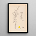 Herbier de la flore française Pl0169 - Louis Antoine Cusin — framed artwork on a wall