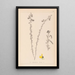 Herbier de la flore française Pl0172 - Louis Antoine Cusin — framed artwork on a wall