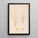 Herbier de la flore française Pl0175 - Louis Antoine Cusin — framed artwork on a wall
