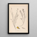 Herbier de la flore française Pl0180 - Louis Antoine Cusin — framed artwork on a wall