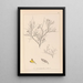Herbier de la flore française Pl0181 - Louis Antoine Cusin — framed artwork on a wall