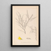 Herbier de la flore française Pl0183 - Louis Antoine Cusin — framed artwork on a wall
