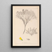 Herbier de la flore française Pl0187 - Louis Antoine Cusin — framed artwork on a wall