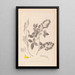Herbier de la flore française Pl0191 - Louis Antoine Cusin — framed artwork on a wall