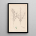 Herbier de la flore française Pl0208 - Louis Antoine Cusin — framed artwork on a wall
