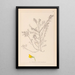 Herbier de la flore française Pl0214 - Louis Antoine Cusin — framed artwork on a wall