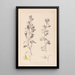 Herbier de la flore française Pl0217 - Louis Antoine Cusin — framed artwork on a wall