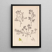 Herbier de la flore française Pl0218 - Louis Antoine Cusin — framed artwork on a wall