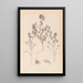 Herbier de la flore française Pl0220 - Louis Antoine Cusin — framed artwork on a wall