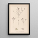 Herbier de la flore française Pl0221 - Louis Antoine Cusin — framed artwork on a wall
