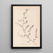 Herbier de la flore française Pl0226 - Louis Antoine Cusin — framed artwork on a wall