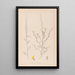 Herbier de la flore française Pl0235 - Louis Antoine Cusin — framed artwork on a wall