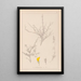 Herbier de la flore française Pl0236 - Louis Antoine Cusin — framed artwork on a wall