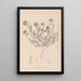 Herbier de la flore française Pl0239 - Louis Antoine Cusin — framed artwork on a wall
