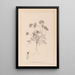 Herbier de la flore française Pl0240 - Louis Antoine Cusin — framed artwork on a wall