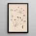 French flora herbarium painting Pl0241 - Louis Antoine Cusin — framed artwork on a wall