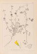 Herbier de la flore française Pl0255 - Louis Antoine Cusin — artwork view