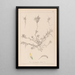 French flora herbarium painting Pl0296 - Louis Antoine Cusin — framed artwork on a wall