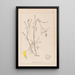 Herbier de la flore française Pl0305 - Louis Antoine Cusin — framed artwork on a wall