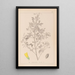 French flora herbarium painting Pl0307 - Louis Antoine Cusin — framed artwork on a wall