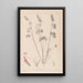 Herbarium of the French flora Pl0316 - Louis Antoine Cusin — framed artwork on a wall