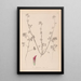 Herbier de la flore française Pl0321 - Louis Antoine Cusin — framed artwork on a wall