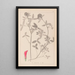 Herbier de la flore française Pl0324 - Louis Antoine Cusin — framed artwork on a wall