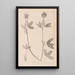 Herbier de la flore française Pl0326 - Louis Antoine Cusin — framed artwork on a wall