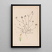 Herbier de la flore française Pl0327 - Louis Antoine Cusin — framed artwork on a wall