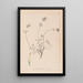 Herbier de la flore française Pl0328 - Louis Antoine Cusin — framed artwork on a wall