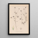 Herbier de la flore française Pl0329 - Louis Antoine Cusin — framed artwork on a wall