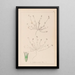 Herbier de la flore française Pl0337 - Louis Antoine Cusin — framed artwork on a wall