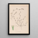 Herbier de la flore française Pl0342 - Louis Antoine Cusin — framed artwork on a wall